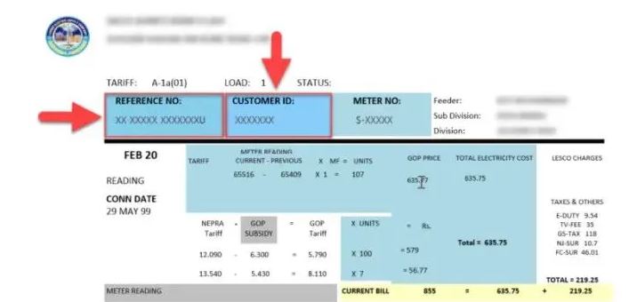 Lesco Online Bill 2024